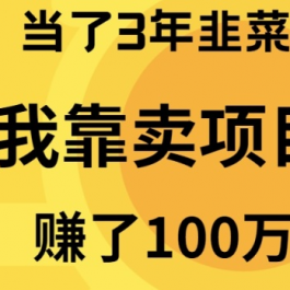 （9100期）当了3年韭菜，我靠卖项目赚了100万