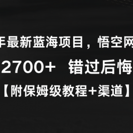 （9095期）2024年最新蓝海项目，悟空网盘拉新，日入2700+错过后悔一年【附保姆级教…