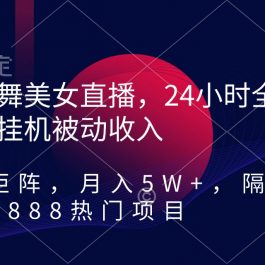 （9044期）热舞美女直播，24小时全天挂机被动收入，可矩阵 月入5W+隔壁卖2888热门项目