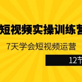 （9029期）视频号短视频实操训练营第5期：7天学会短视频运营（12节课）