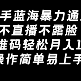 （8961期）快手蓝海暴力通道，不直播不露脸，靠二维码轻松月入1W+，操作简单易上手