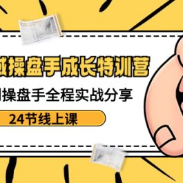 （8723期）电商私域-操盘手成长特训营：从小白到操盘手全程实战分享-24节线上课