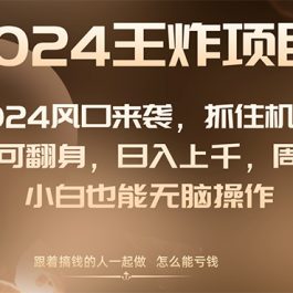 （8401期）2024风口项目来袭，抓住机会，闲鱼也可翻身，日入上千，周入破万，小白…