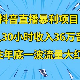 （8388期）抖音直播暴利项目，有人30小时收入36万音浪，公司宣传片年会视频制作，…