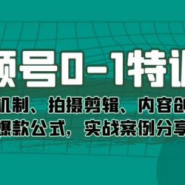 （7373期）视频号0-1特训营：平台机制、拍摄剪辑、内容创作、爆款公式，实战案例分享