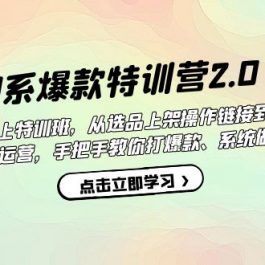 （7250期）淘系爆款特训营2.0【第六期】从选品上架到付费放大 全店运营 打爆款 做好店