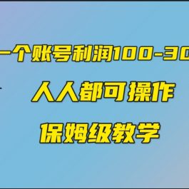 （7024期）一个账号100-300，有人靠他赚了30多万，中视频另类玩法，任何人都可以做到