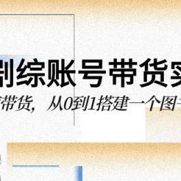 图书剧综账号带货实战课，0基础极速带货，从0到1搭建一个图书剧综账号