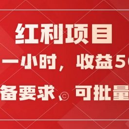 日均收益500+，全天24小时可操作，可批量放大，稳定！