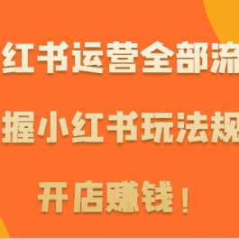 小红书运营全部流程，掌握小红书玩法规则，开店赚钱！