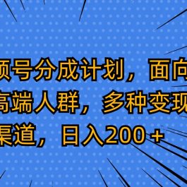 视频号分成计划，面向中高端人群，多种变现渠道，日入200＋