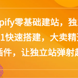 Shopify零基础建站，独立站从0-1快速搭建，大卖精选运营插件，让独立站弹射起步