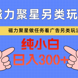 磁力聚星做任务看广告撸马扁，不靠流量另类玩法日入300+