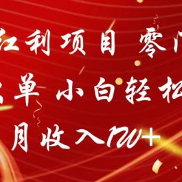 2024红利项目 零门槛当天出单 小白轻松上手 月收入1W+