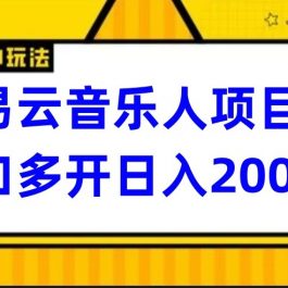 网易云挂机项目延伸玩法，电脑操作长期稳定，小白易上手