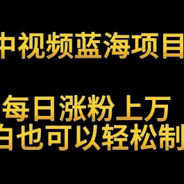 中视频蓝海项目，解读英雄人物生平，每日涨粉上万，小白也可以轻松制作，月入过万