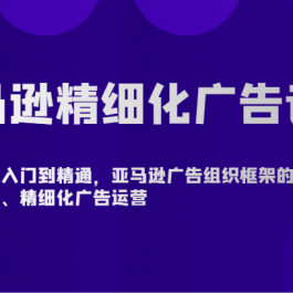 亚马逊精细化广告详解-从入门到精通，亚马逊广告组织框架的搭建、精细化广告运营