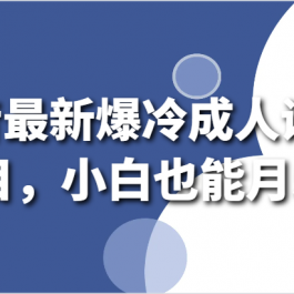 抖音最新爆冷成人识字项目，小白也能月5w