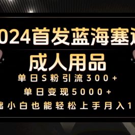 2024首发蓝海塞道成人用品，月入10W+保姆教程