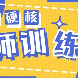 2024导师训练营6.0超硬核变现最高的项目，高达月收益10W+