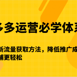 拼多多运营必学体系课-了解最新流量获取方法，降低推广成本，让你做店铺更轻松