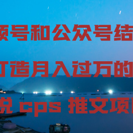 视频号和公众号结合打造月入过万的小说cps推文项目，包括市面上面的各种思路详解