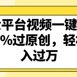 各大平台视频一键去重，100%过原创，轻松月入过万！