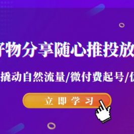 2024好物分享随心推投放实战课 随心推撬动自然流量/微付费起号/优化产出