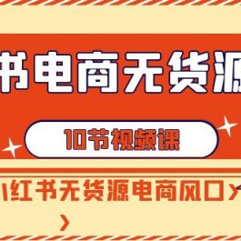 小红书电商无货源打卡，抢先占领小红书无货源电商风口（10节课）