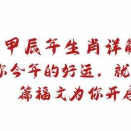 某公众号付费文章：甲辰年生肖详解: 你今年的好运，就由这篇福文为你开启！