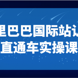 阿里巴巴国际站认知及直通车实操课-国际地产逻辑、国际站运营定位、TOP商家运营思路