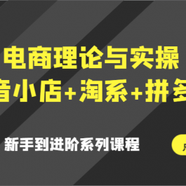 电商理论与实操（抖音小店+淘系+拼多多）新手到进阶系列课程