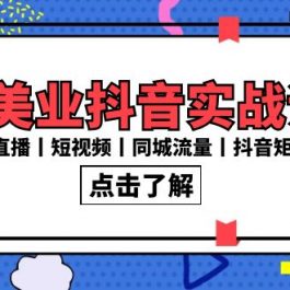 新美业抖音实战课丨直播丨短视频丨同城流量丨抖音矩阵（30节课）