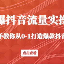 引爆抖音流量实操课，手把手教你从0-1打造爆款抖音账号（27节课）