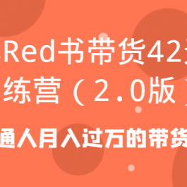 小Red书带货42天训练营（2.0版）普通人月入过万的带货课
