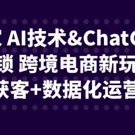 独家 AI技术&ChatGPT解锁 跨境电商新玩法，引流获客+数据化运营思维