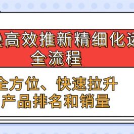 亚马逊高效推新精细化运营全流程，全方位、快速 拉升产品排名和销量