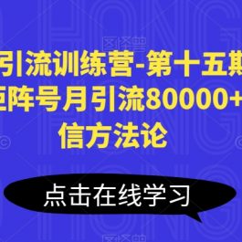 小红书引流训练营-第十五期，小红书矩阵号月引流80000+到微信方法论