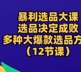 暴利选品大课：选品决定成败，教你多种大爆款选品方法(12节课)