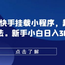 0粉抖音快手挂载小程序，超级变脸玩法，新手小白日入300+