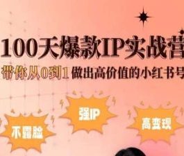 小红书100天爆款IP实战营，带你从0到1做出高价值的小红书号