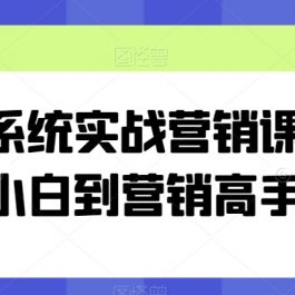 全系统实战营销课，从小白到营销高手