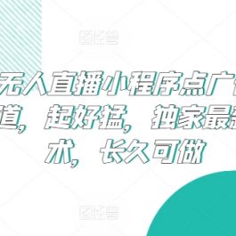 24小时无人直播小程序点广告掘金，冷门赛道，起好猛，独家最新防封技术，长久可做