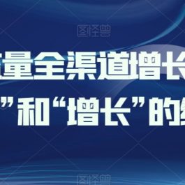 引爆流量全渠道增长，打好“获客”和“增长”的组合拳