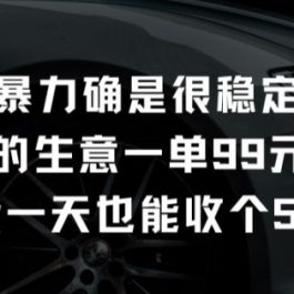 不是很暴力确是很稳定的项目只做富人的生意一单99元到199元