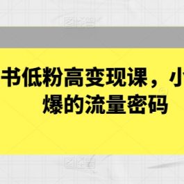 小红书低粉高变现课，小红书必爆的流量密码