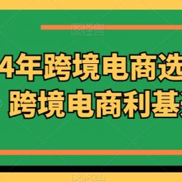 2024年跨境电商选品案例，跨境电商利基选品