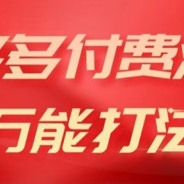 2024多多付费流万能打法、强付费起爆、流量逻辑、高转化、高投产