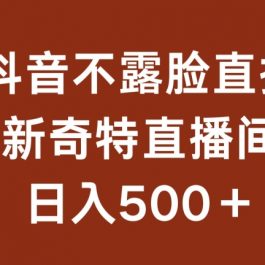 不露脸挂机直播，新奇特直播间，日入500+