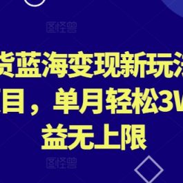 外贸尾货蓝海变现新玩法，冷门暴利项目，单月轻松3W+，收益无上限